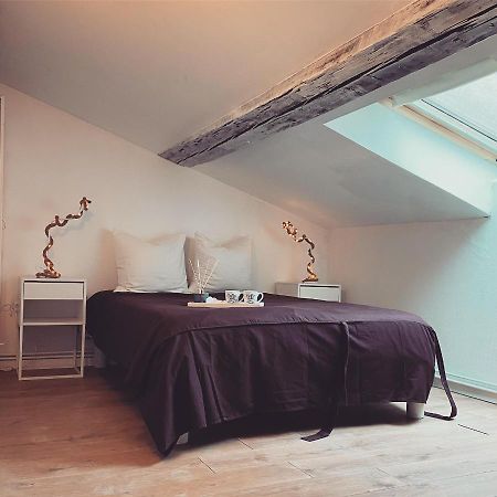 Superbe Duplex En Plein Coeur De Nancy Ngoại thất bức ảnh