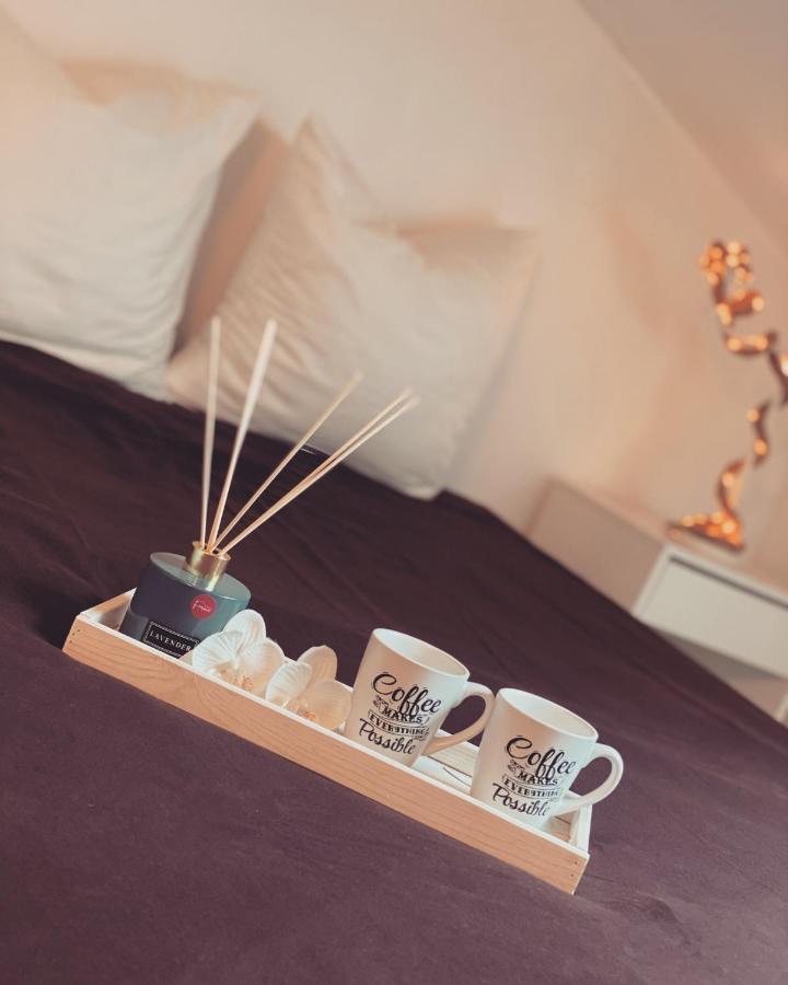 Superbe Duplex En Plein Coeur De Nancy Ngoại thất bức ảnh